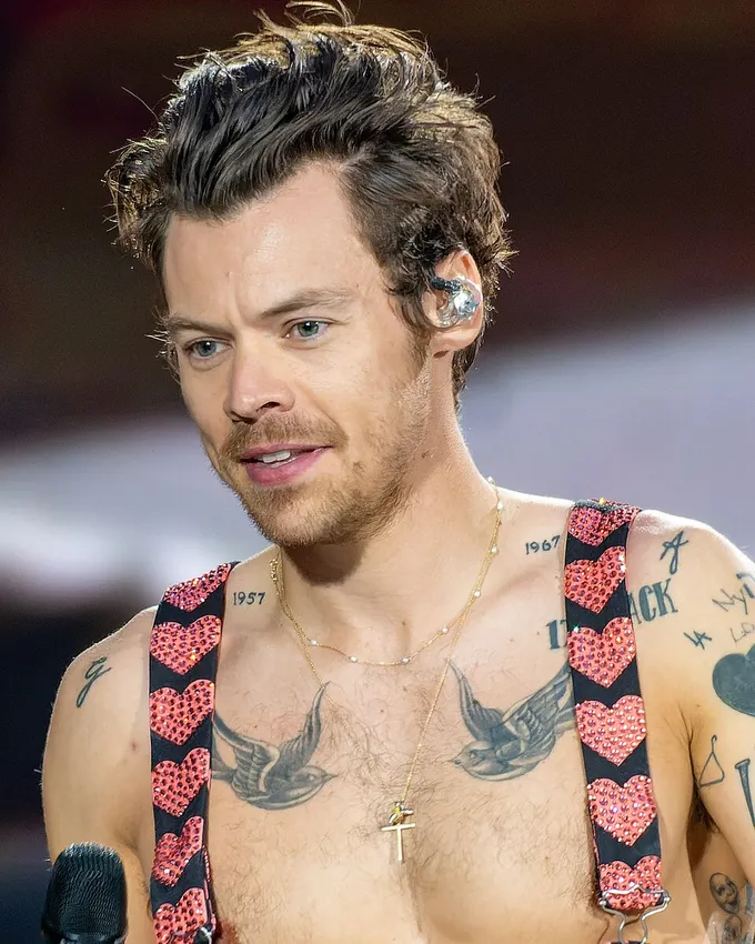 Harry Styles Life Story: From X Factor to Global Icon